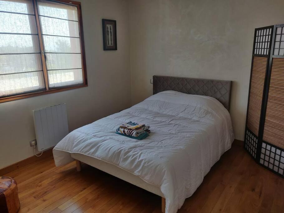 Maison Spacieuse Avec Billard Balneo Piano Talant Ngoại thất bức ảnh